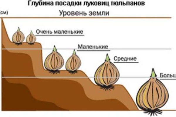 Кракен сайт сегодня